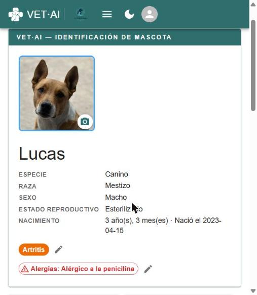 Ficha de paciente de VET·AI con foto, código QR de acceso y datos clínicos